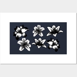 Beautiful black and white lily design Posters and Art